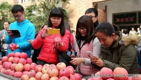 央視“點名”關注!陝西這所高校的全魚宴、巧克力饅頭饞哭網友 央視“點名”關注!陝西這所高校的全魚宴、巧克力饅頭饞哭網友