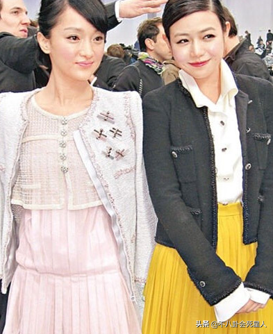 很美卻不上鏡的7位女星：趙薇劉亦菲在榜，胡杏兒李嘉欣常被提及