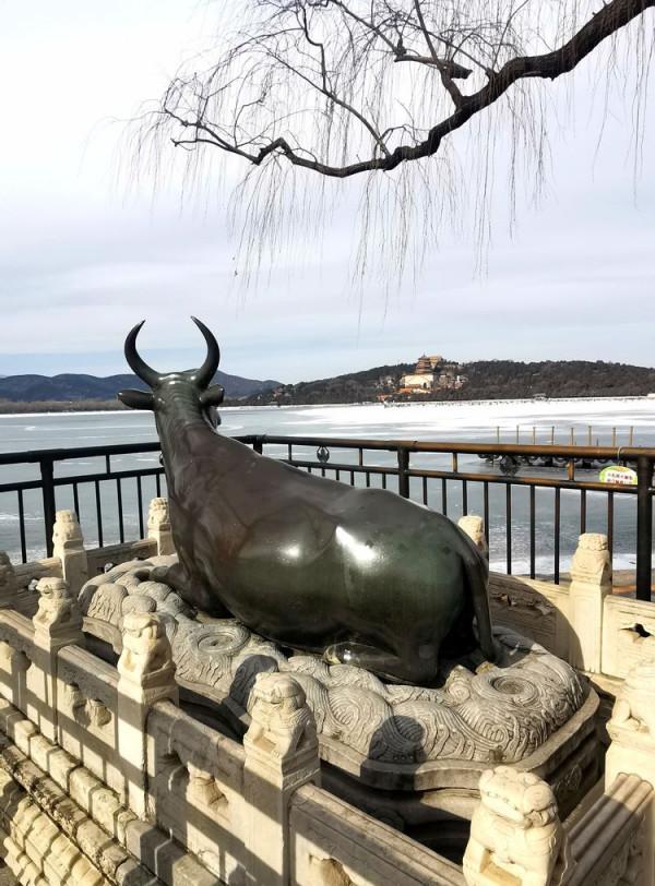 冬遊頤和園 冬遊頤和園
