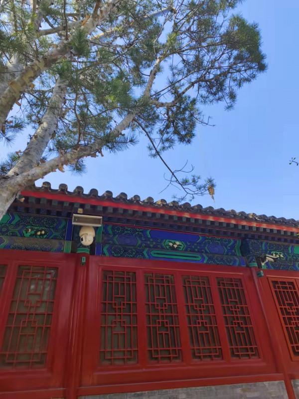 北京·大鐘寺博物館 北京·大鐘寺博物館