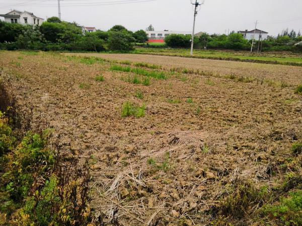 農村個人開墾的荒地，歸個人還是歸村集體所有？應該怎麼處理？