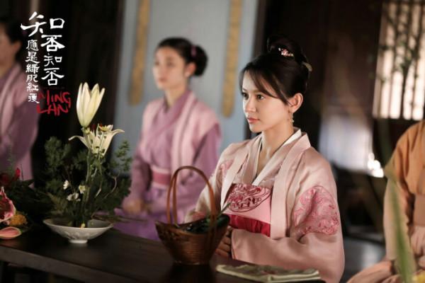 那些百看不厭卻備受爭議的經典好劇，琅琊榜知否尤為嚴重？