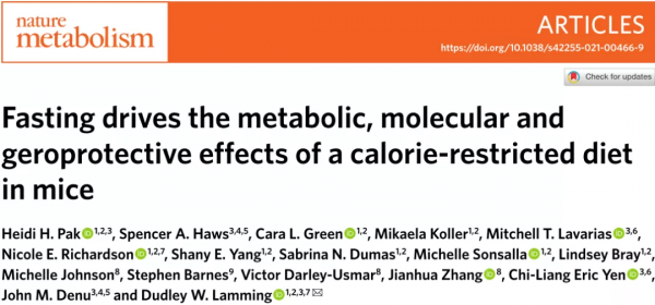 人如其食？or 人如其何時食？延長禁食而不是卡路里限制