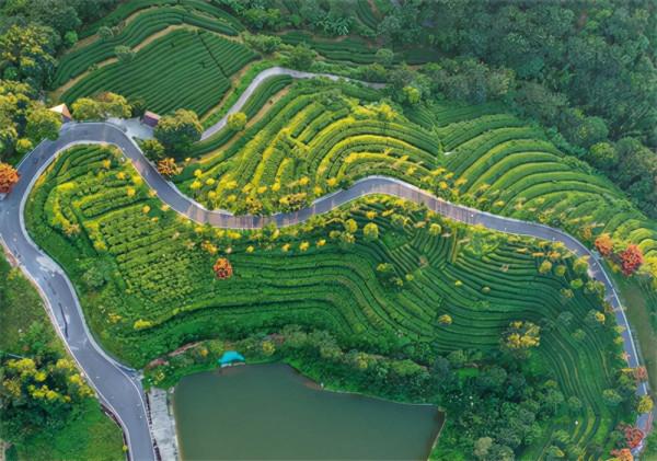 去旅遊嗎？新興天然氧吧的那種