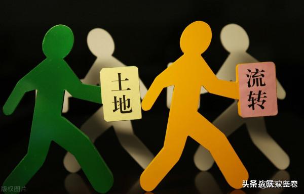 馬雲說“致富未來在農村”，那未來哪些人可以成為農村的致富人？