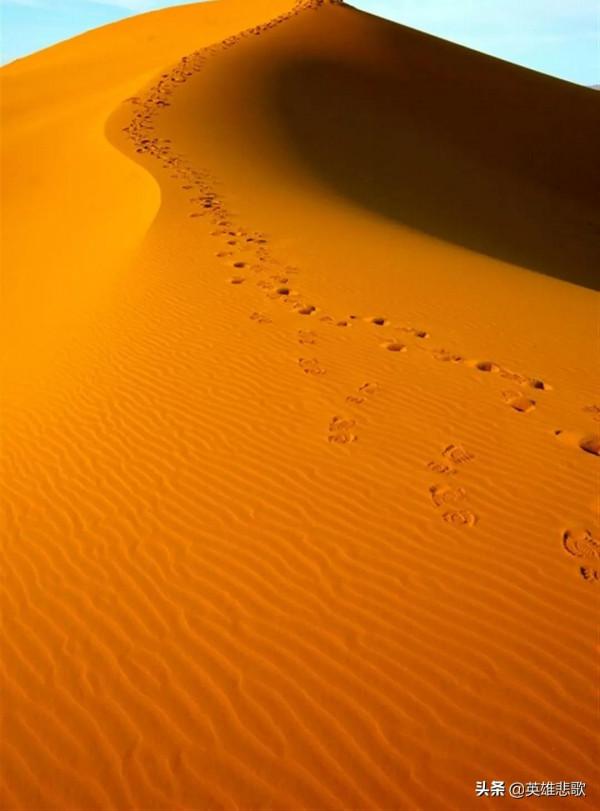 沙子如此緊俏，價格連年瘋漲，為何不去沙漠中運輸或到黃河裡採？