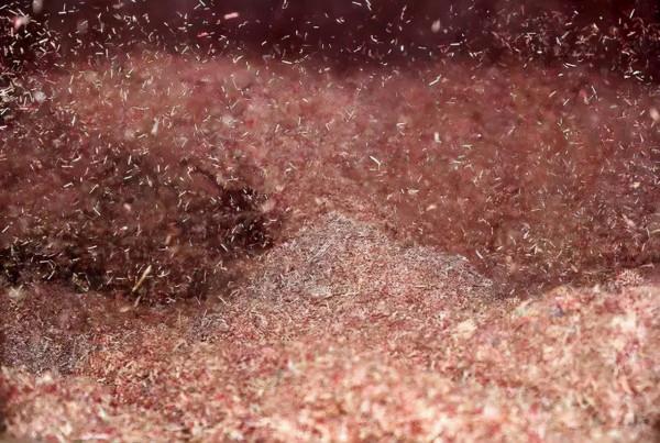 奢侈的美國“百萬農場”,用美鈔做肥料,美元霸權的一個極端表現 奢侈的美國“百萬農場”,用美鈔做肥料,美元霸權的一個極端表現