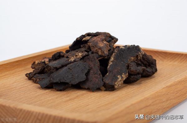 秋燥傷肺?一劑百合固金湯,潤肺養陰,讓你的肺固若金湯 秋燥傷肺?一劑百合固金湯,潤肺養陰,讓你的肺固若金湯