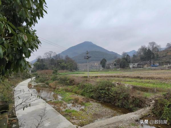 vivo X70 Pro&plus;拍照樣張賞析分享（第7期）