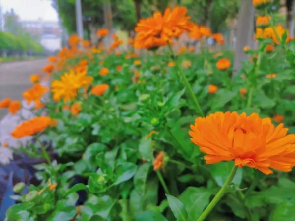 一年四季，這些“絕美”的瞬間你見到了嗎？