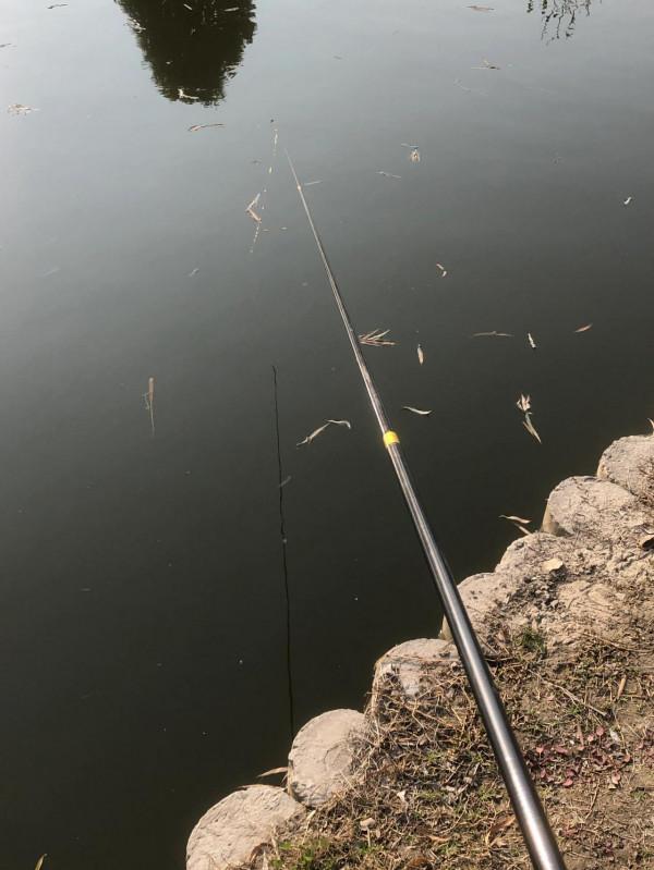 2020年1月3日第一回野釣