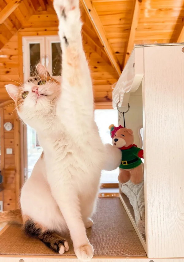 幹飽飯，才有力氣營業