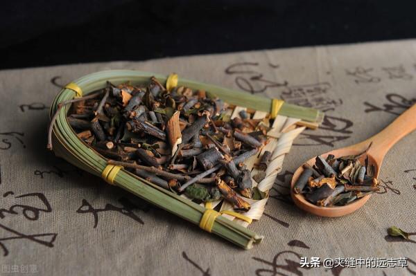 骨質增生各種痛?四味中藥,祛風除溼,緩急止痛,改善骨質增生 骨質增生各種痛?四味中藥,祛風除溼,緩急止痛,改善骨質增生