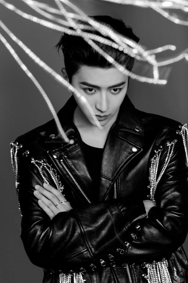 虎年最吃香的釣系貓臉，如何才能擁有？