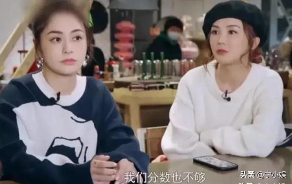 袁詠儀道歉、林心如受寵，21位藝人近況暴露港臺明星的三大窘境