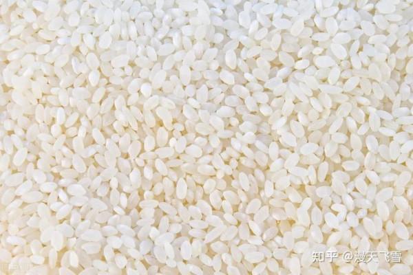 手機掉水裡後怎樣處理才妥當