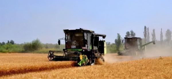 假如我們進口不到任何的糧食，每年國內生產的糧食夠14億人吃嗎？