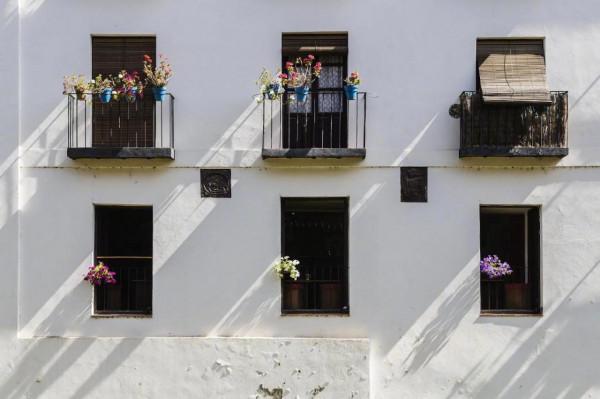 我們什麼都不敢嘗試，所以我們什麼都沒有