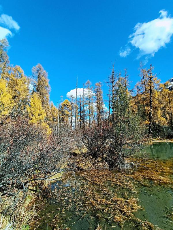 翻山越嶺而來，只為走進徒步天堂，小金瑪嘉溝