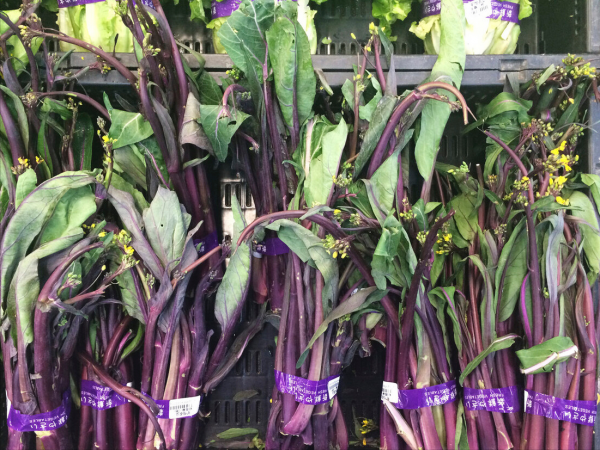 冬天,除了白菜蘿蔔,這5種應季蔬菜更值得吃,鮮嫩爽口,吃不膩 冬天,除了白菜蘿蔔,這5種應季蔬菜更值得吃,鮮嫩爽口,吃不膩