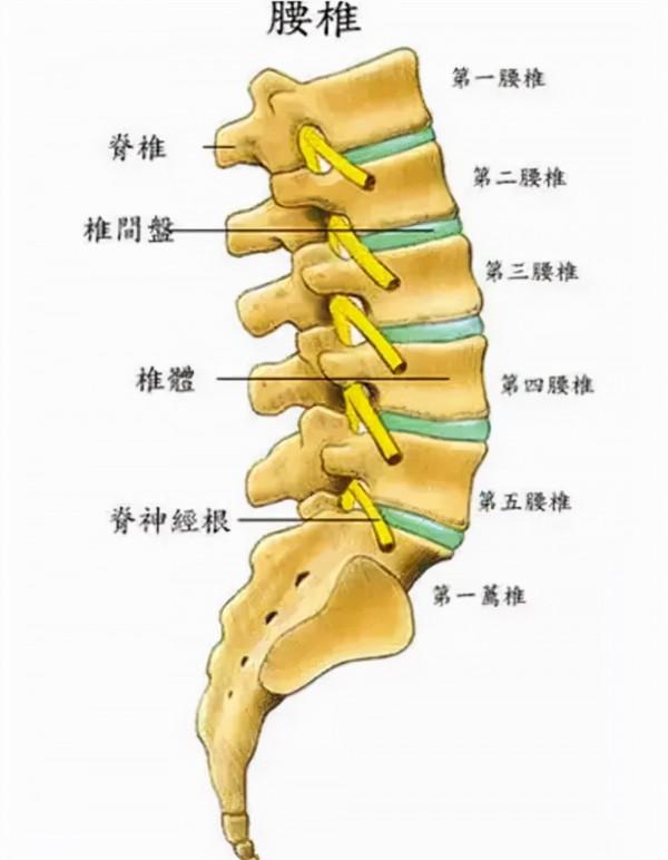 這些錯誤的減肥訓練正在讓你的健康受到很大影響