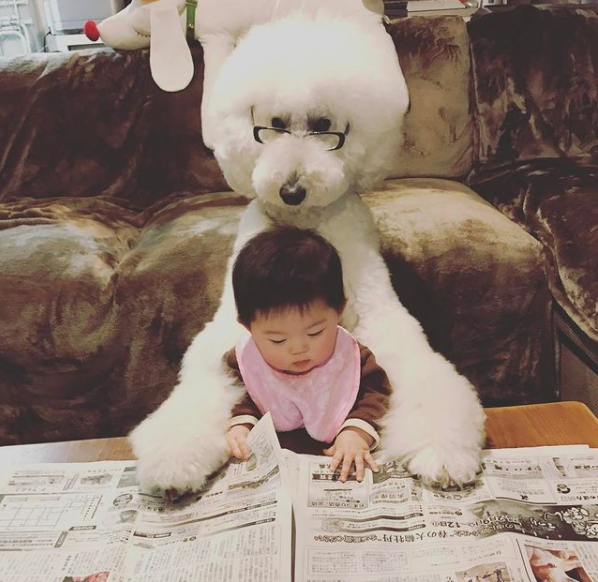 日本奶奶分享小孫女和三隻大狗狗的日常，治癒了56萬+網友…