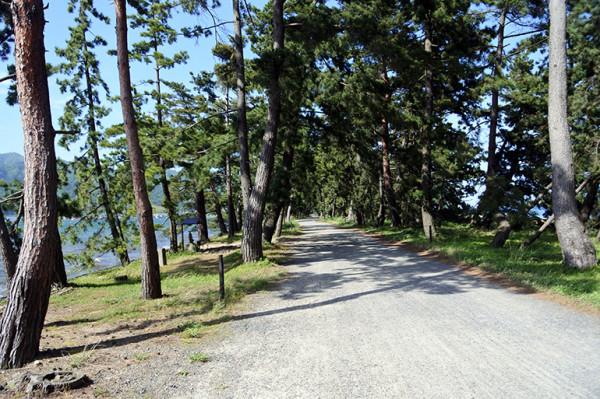 海灘探訪｜絕景“天橋立”胯下窺視，“空中”飛龍飄舞的日本三景