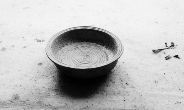 故事：瞎眼老人討飯吃，只有父親沒拒絕，野狗送他萬貫家財