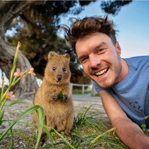 澳洲小哥靠一組照片成為“年度網紅”:絕了,每隻動物都會笑? 澳洲小哥靠一組照片成為“年度網紅”:絕了,每隻動物都會笑?