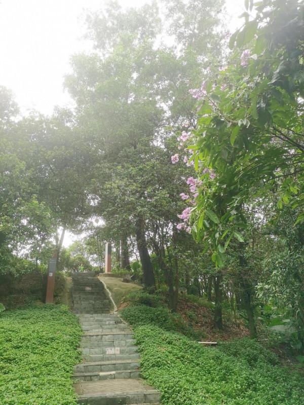 公元某年某月某日某山半日遊