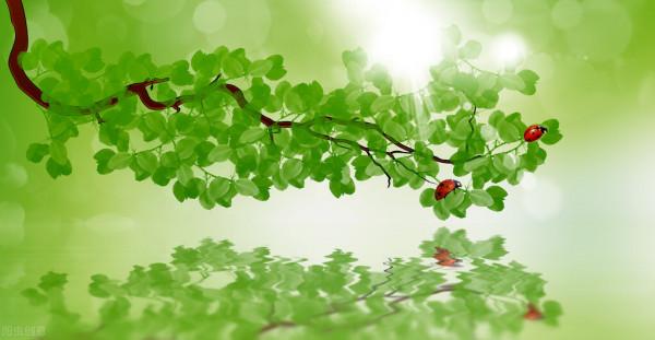 三種訓練緩解孩子的衝動行為