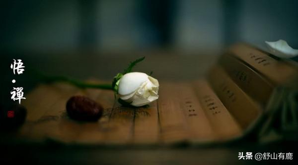 這6句話,寫盡了你的一生 這6句話,寫盡了你的一生