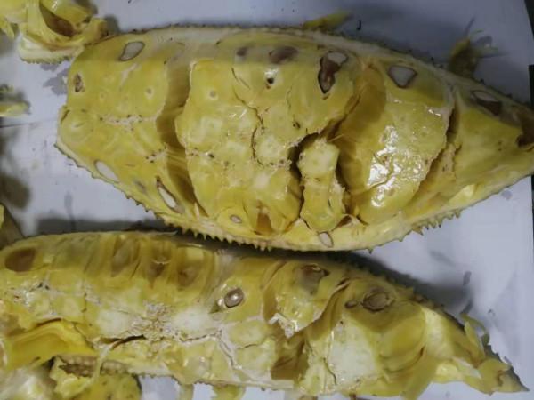 紅江農場,水果特別多,你最喜歡哪個? 紅江農場,水果特別多,你最喜歡哪個?