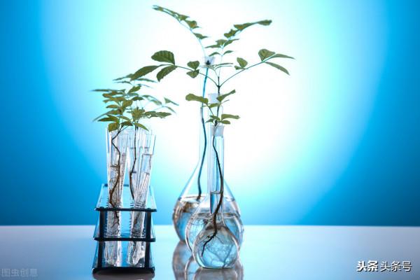 高中生物55個考試要點，收藏慢慢學