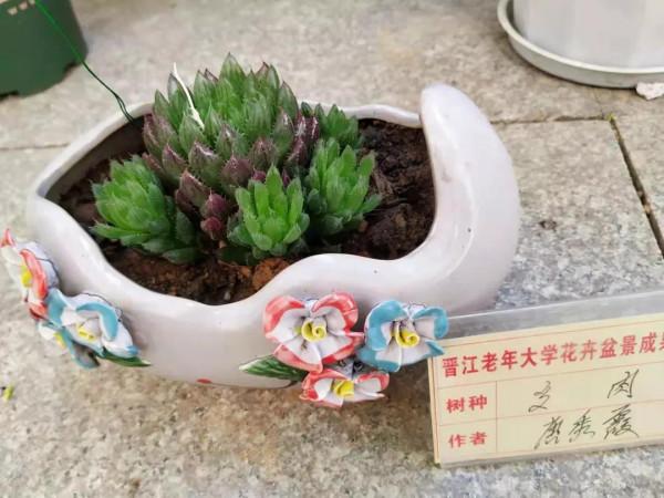 綠園盆景題詩集「推薦」 綠園盆景題詩集「推薦」