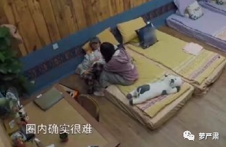 張子楓疑似戀上同班同學，全民黃磊附體了