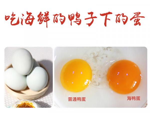 山東大姐海邊養鴨，醃製鹹鴨蛋絕境逢生，如今年收入幾千萬