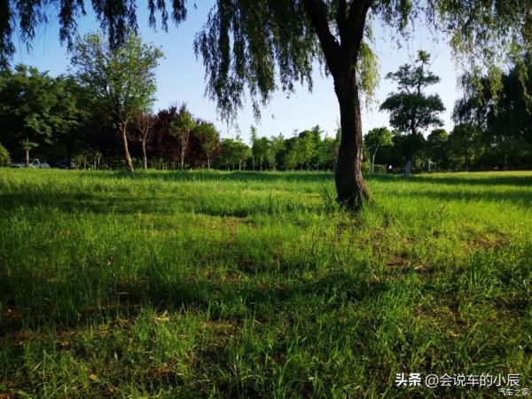 打卡無錫宛山蕩溼地公園，大唐也可以營造田園牧歌