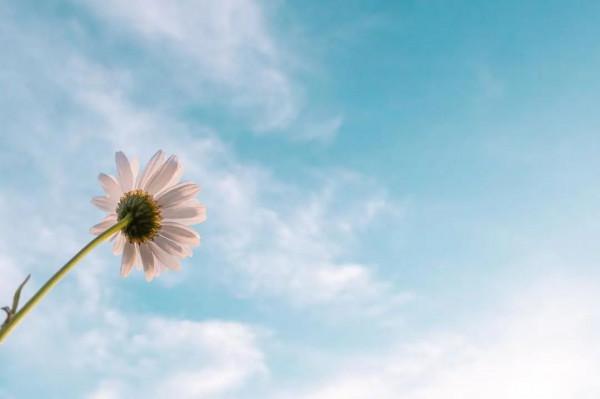 身高158,體重100,才初二的我已經節食一年多…… 身高158,體重100,才初二的我已經節食一年多……