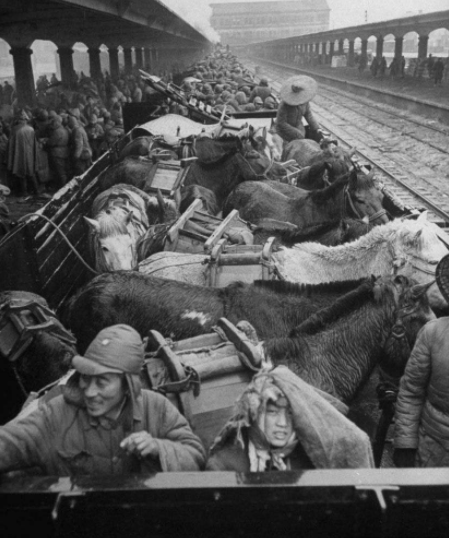 陳官莊全軍覆沒，杜聿明被俘後吐槽：邱瘋子害了我