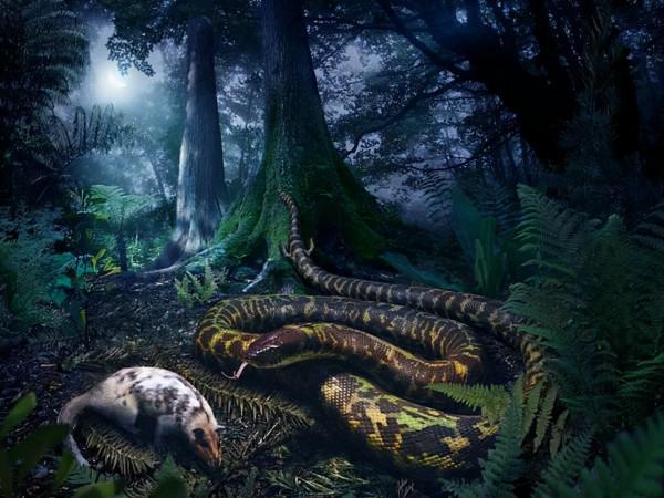 為什麼人類如此懼怕蛇？科學家在嬰兒身上找到了答案