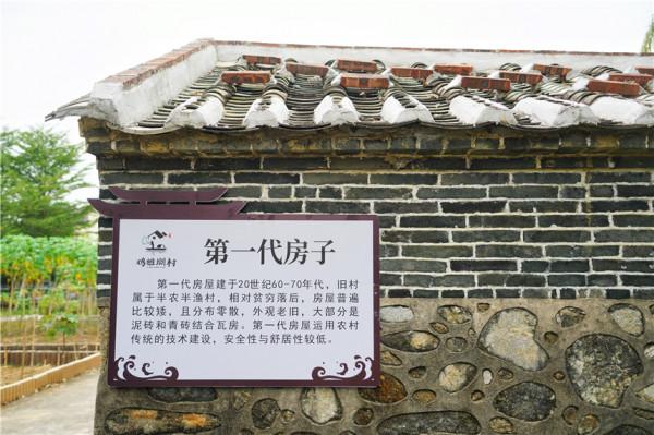 廣東陽江有個漁村,年產值一個多億,名字起得好奇怪,居然不認識 廣東陽江有個漁村,年產值一個多億,名字起得好奇怪,居然不認識