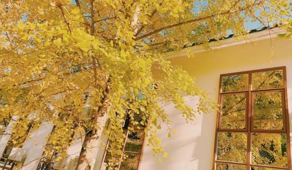 廣東絕美的秋色,都藏在了這4個小眾景點裡 廣東絕美的秋色,都藏在了這4個小眾景點裡