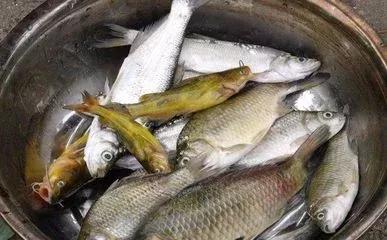 有個愛釣魚的鄰居