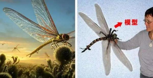 地球被恐龍稱霸前,地球出現過的統治者是誰?科學家給出分析 地球被恐龍稱霸前,地球出現過的統治者是誰?科學家給出分析