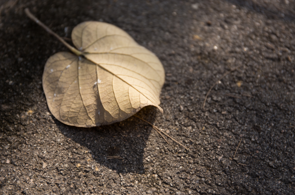 親戚為什麼是一輩親，隔幾代就不聯絡了
