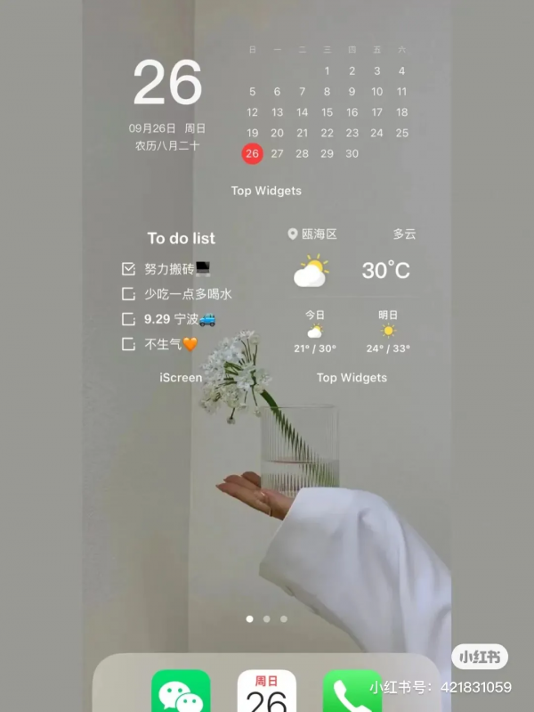 這是我見過給iPhone換主題，最方便的APP