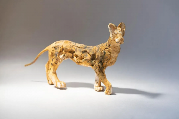 Yu Seto：復古與現代交織下動物的神態與感情