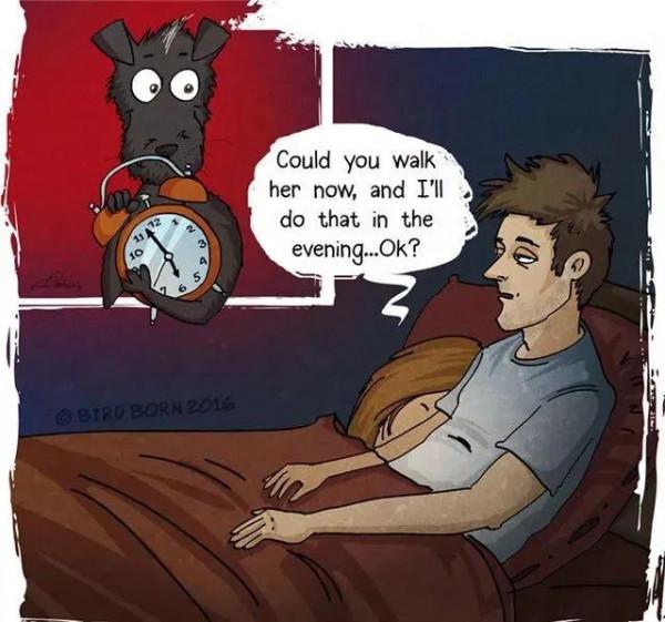 給流浪狗安家容易，改變它流浪的辛難，其實你只需要這麼做…漫畫