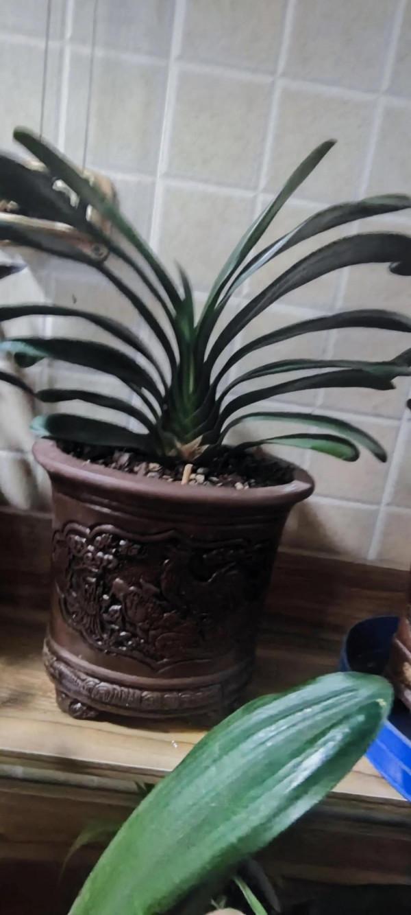 今天成功的做了一次斷舍理